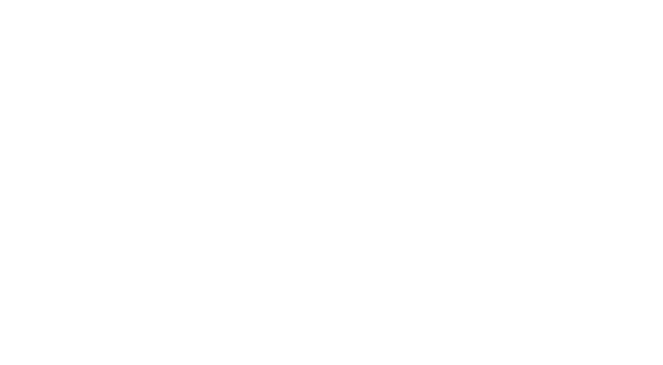 Link Brokerage Inc.